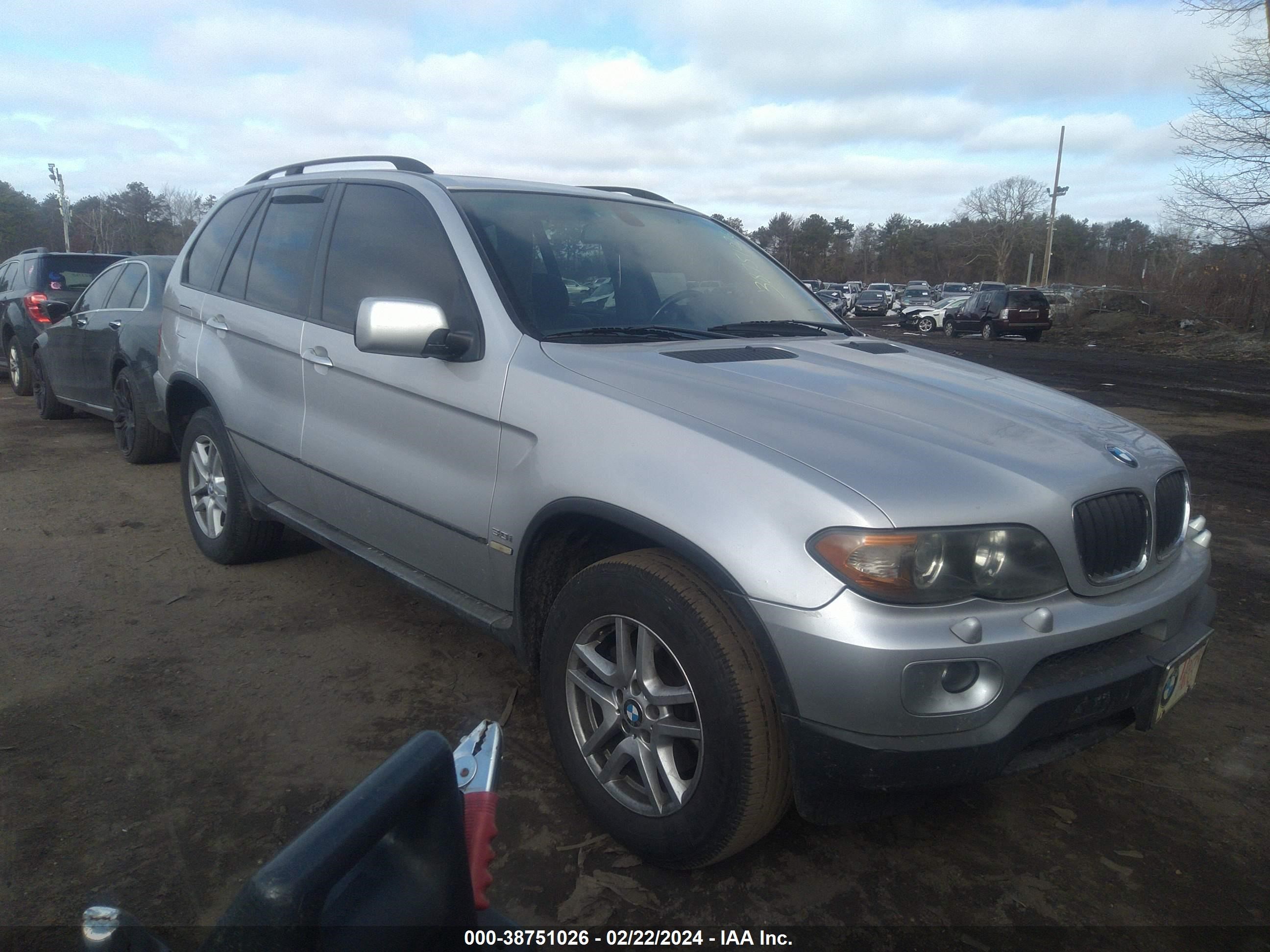 BMW X5 2006 5uxfa13516ly31131