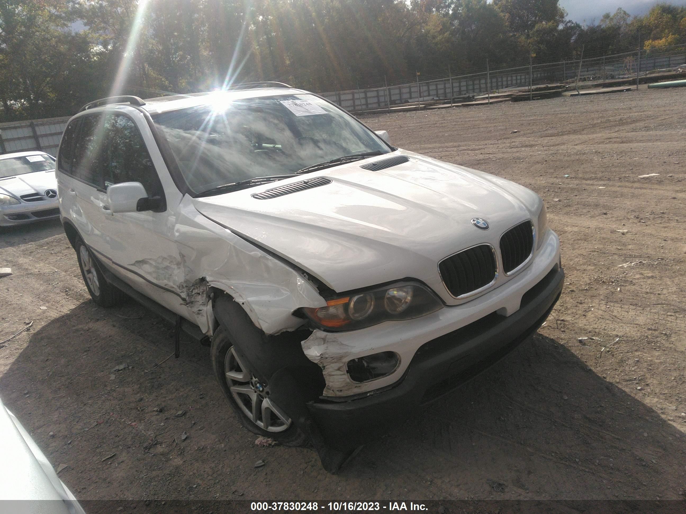 BMW X5 2005 5uxfa13525ly16877