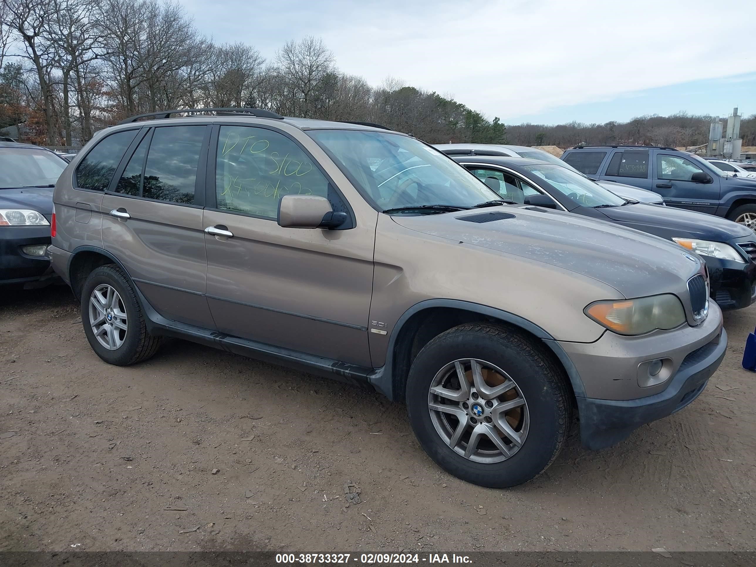 BMW X5 2006 5uxfa13526ly44096