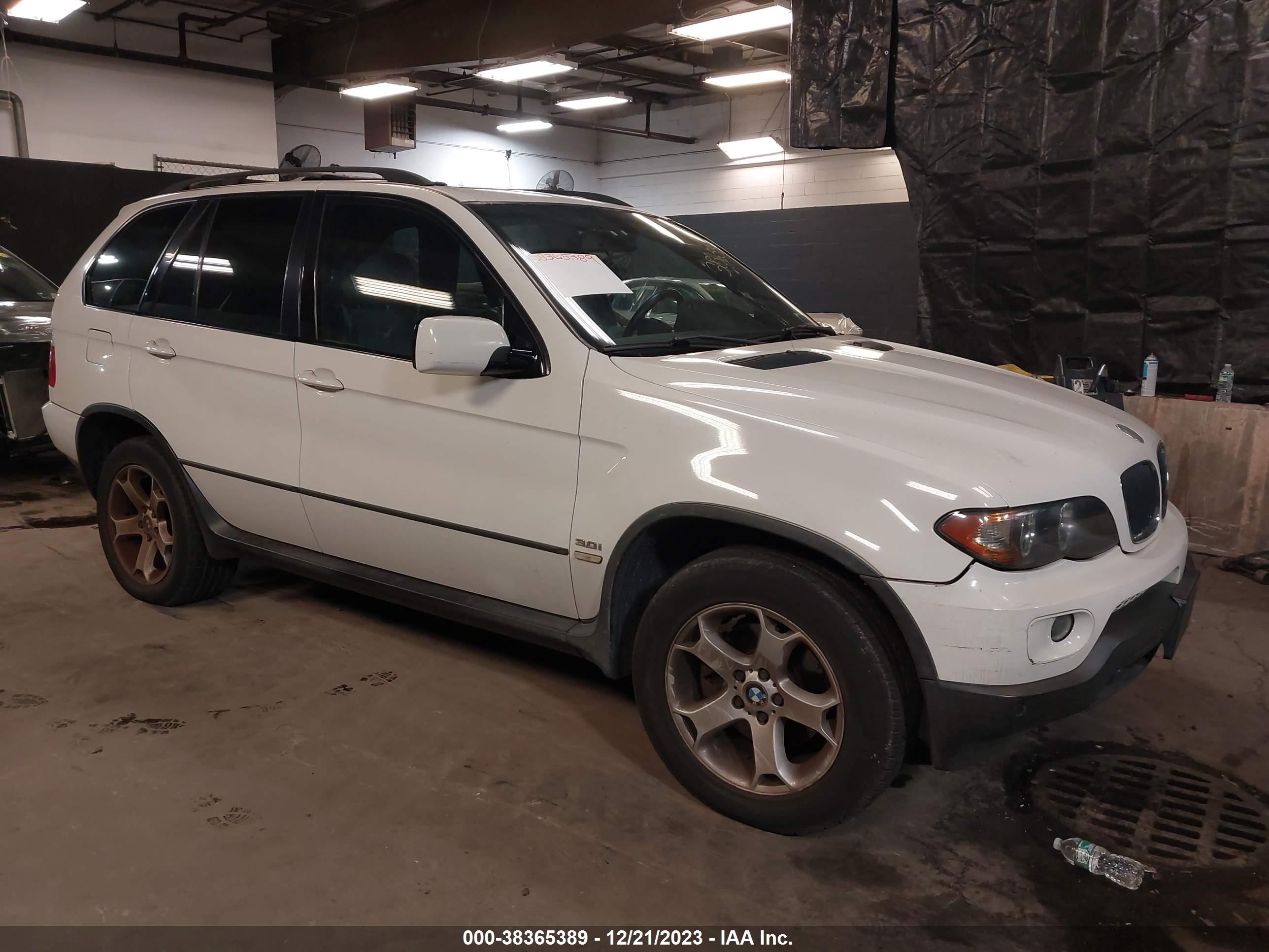 BMW X5 2005 5uxfa13545ly16900