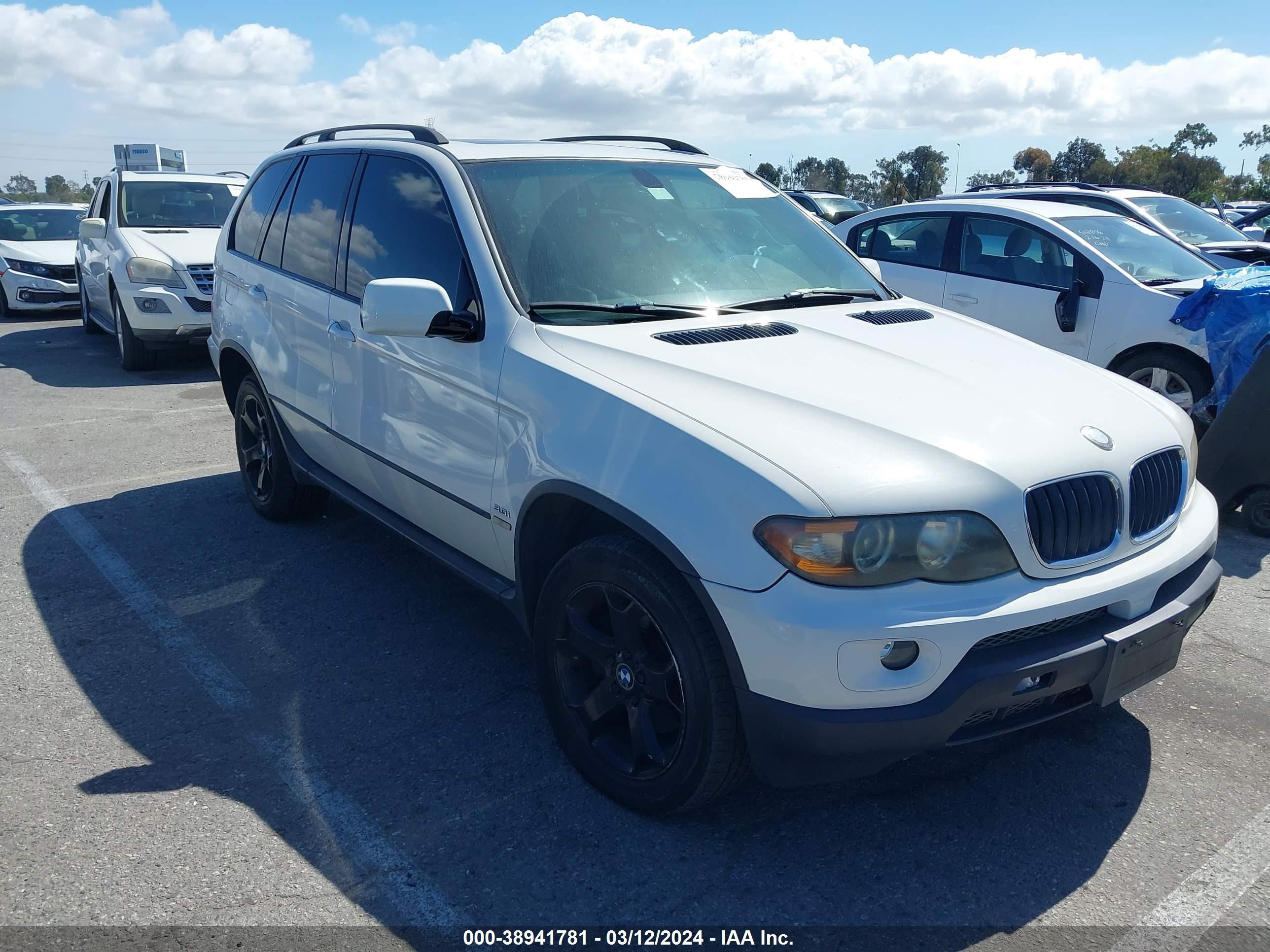 BMW X5 2005 5uxfa13555ly00625