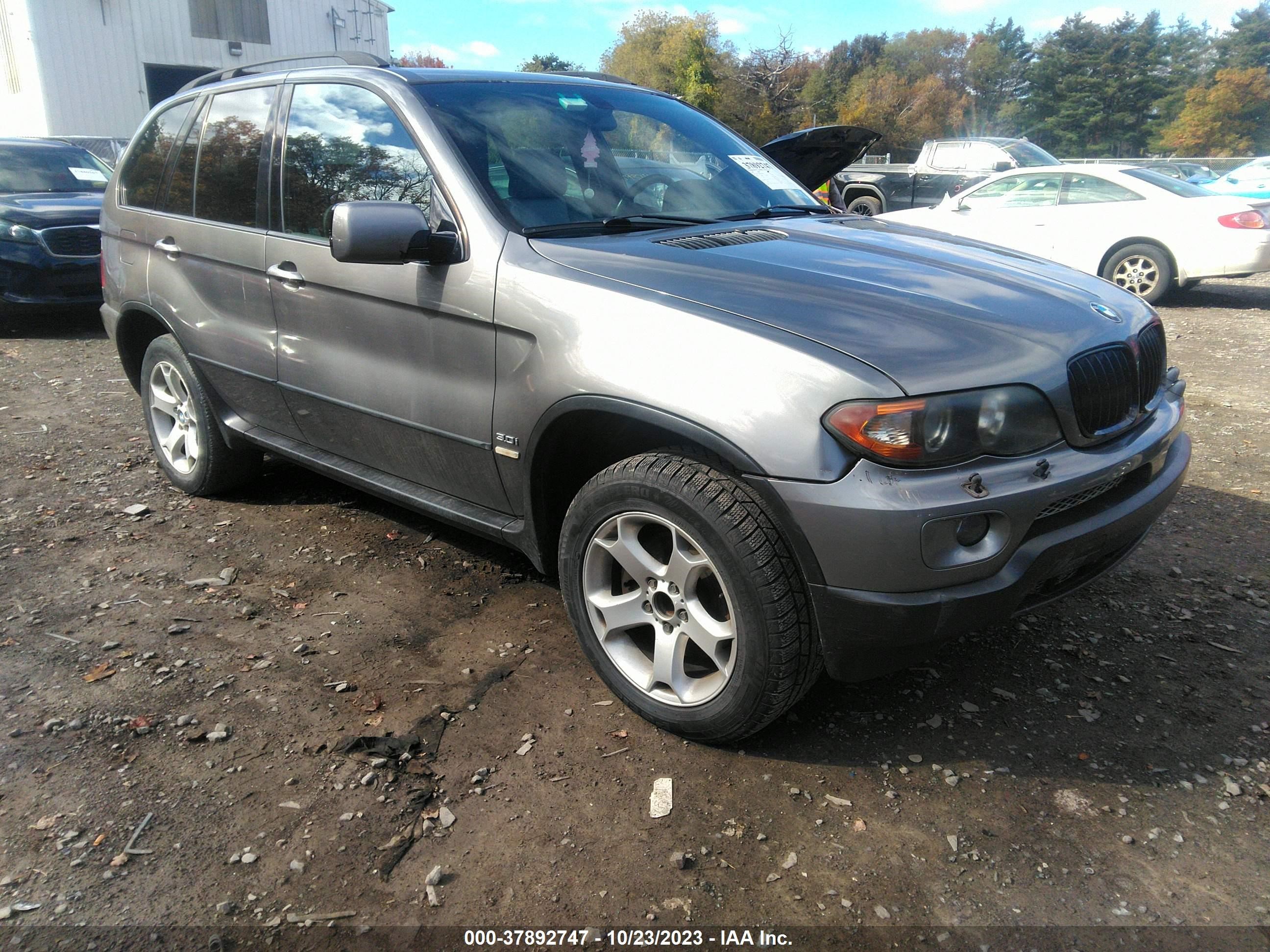 BMW X5 2004 5uxfa13564lu23849