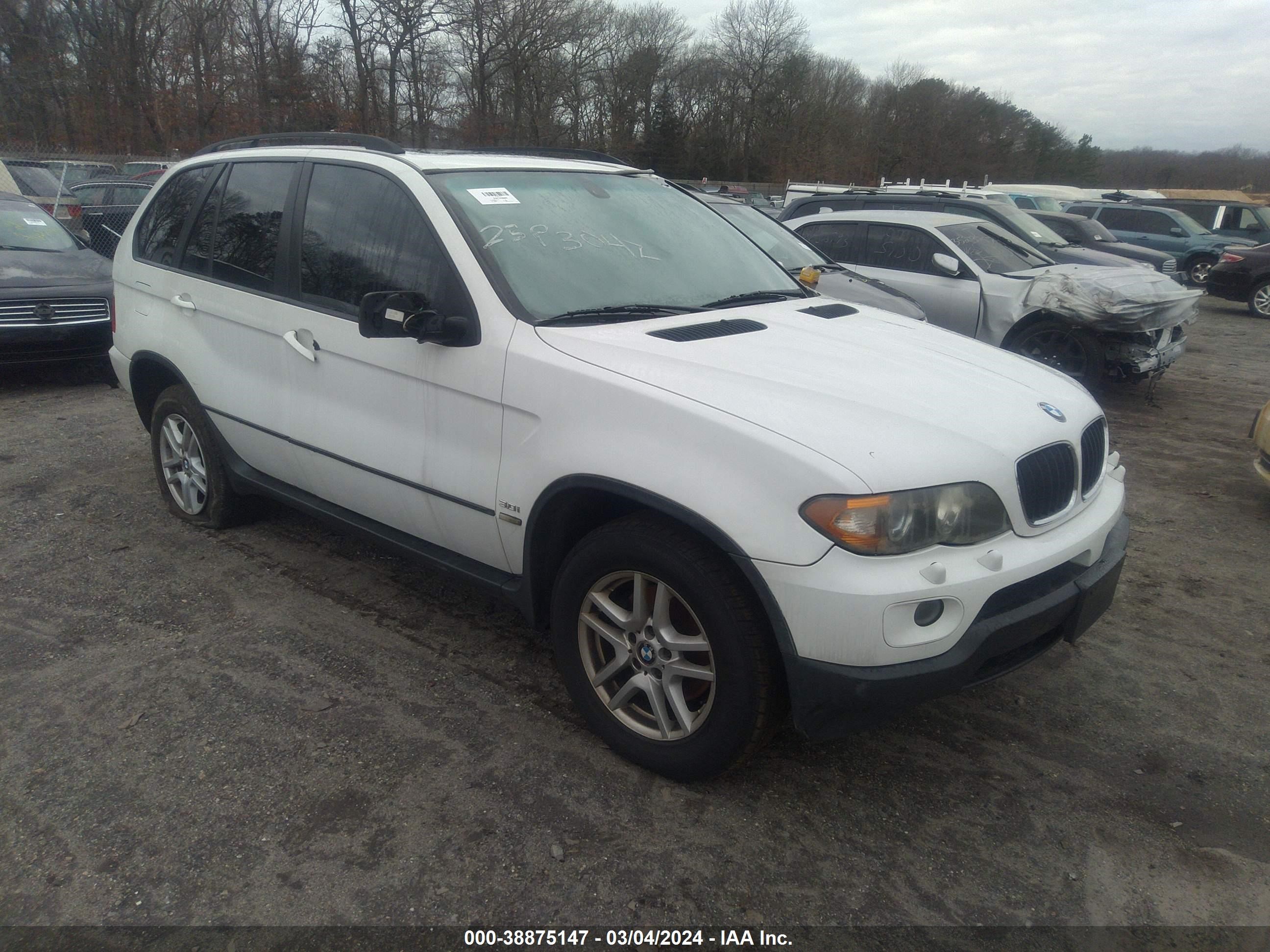 BMW X5 2006 5uxfa13566ly46742