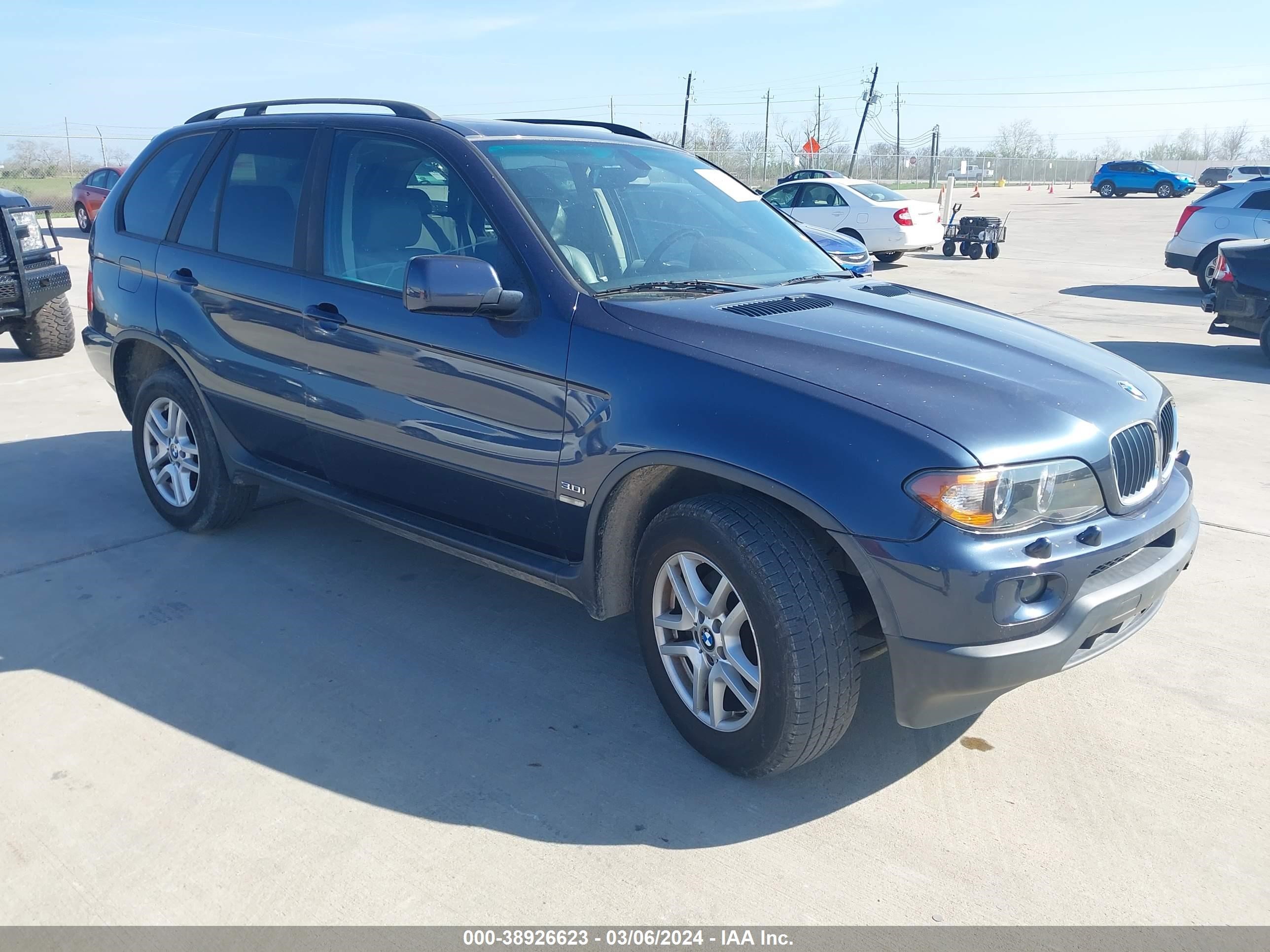 BMW X5 2004 5uxfa135x4lu22848