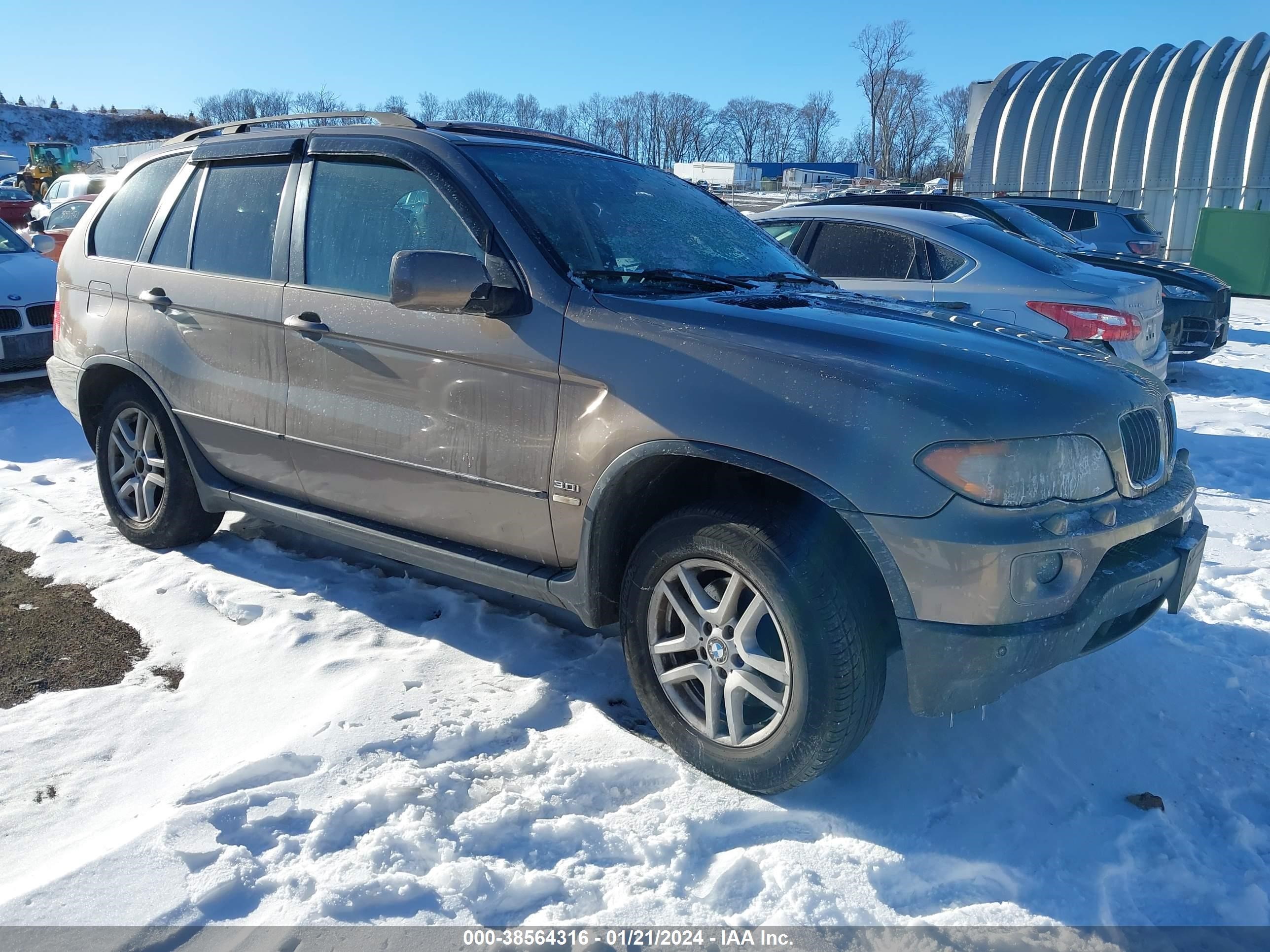 BMW X5 2006 5uxfa135x6ly27076