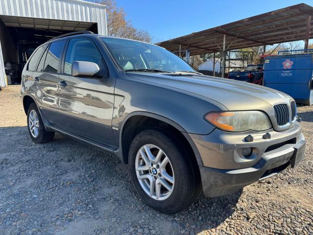 BMW X5 2006 5uxfa135x6ly46615