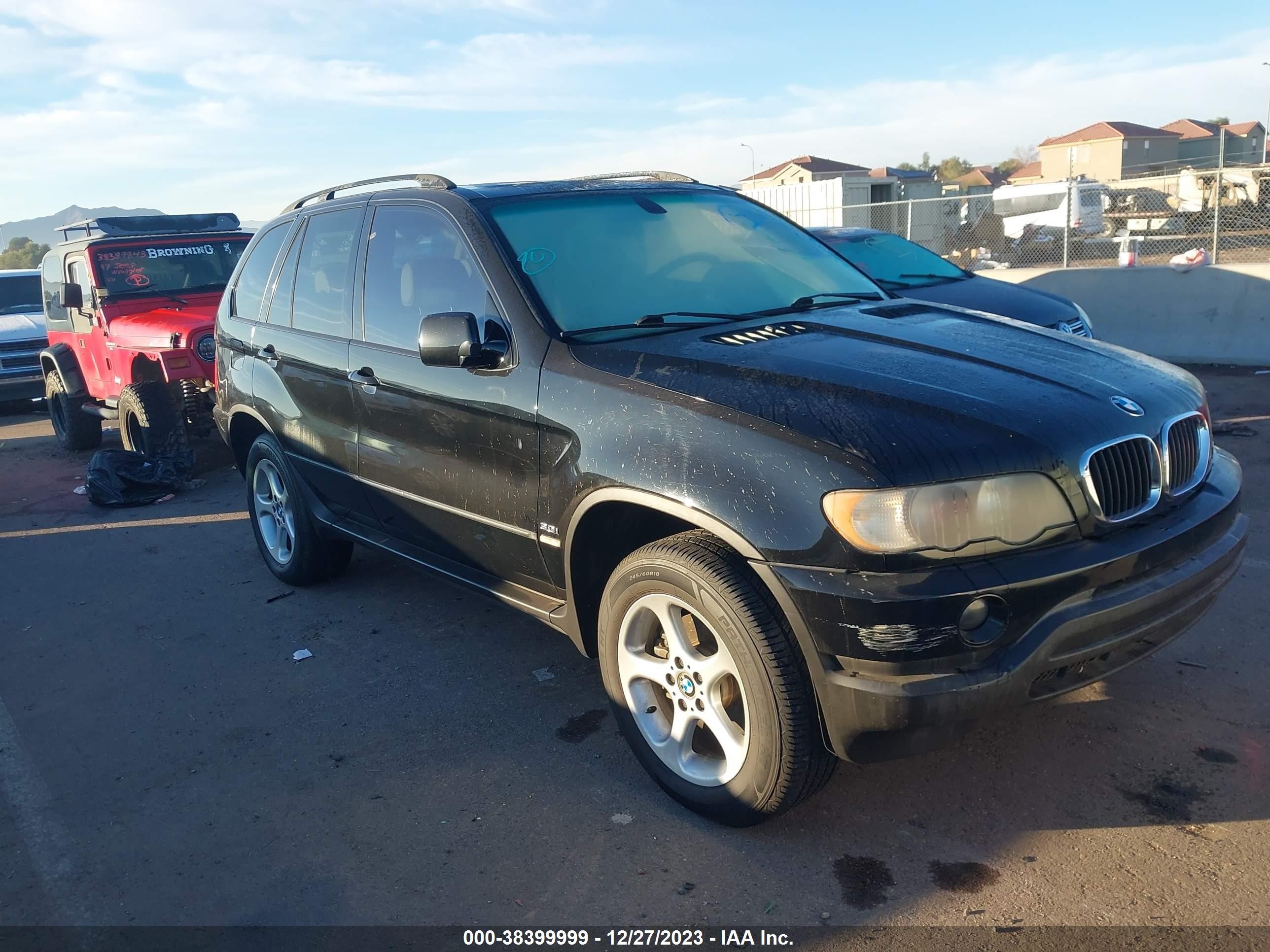 BMW X5 2003 5uxfa53513lv91565