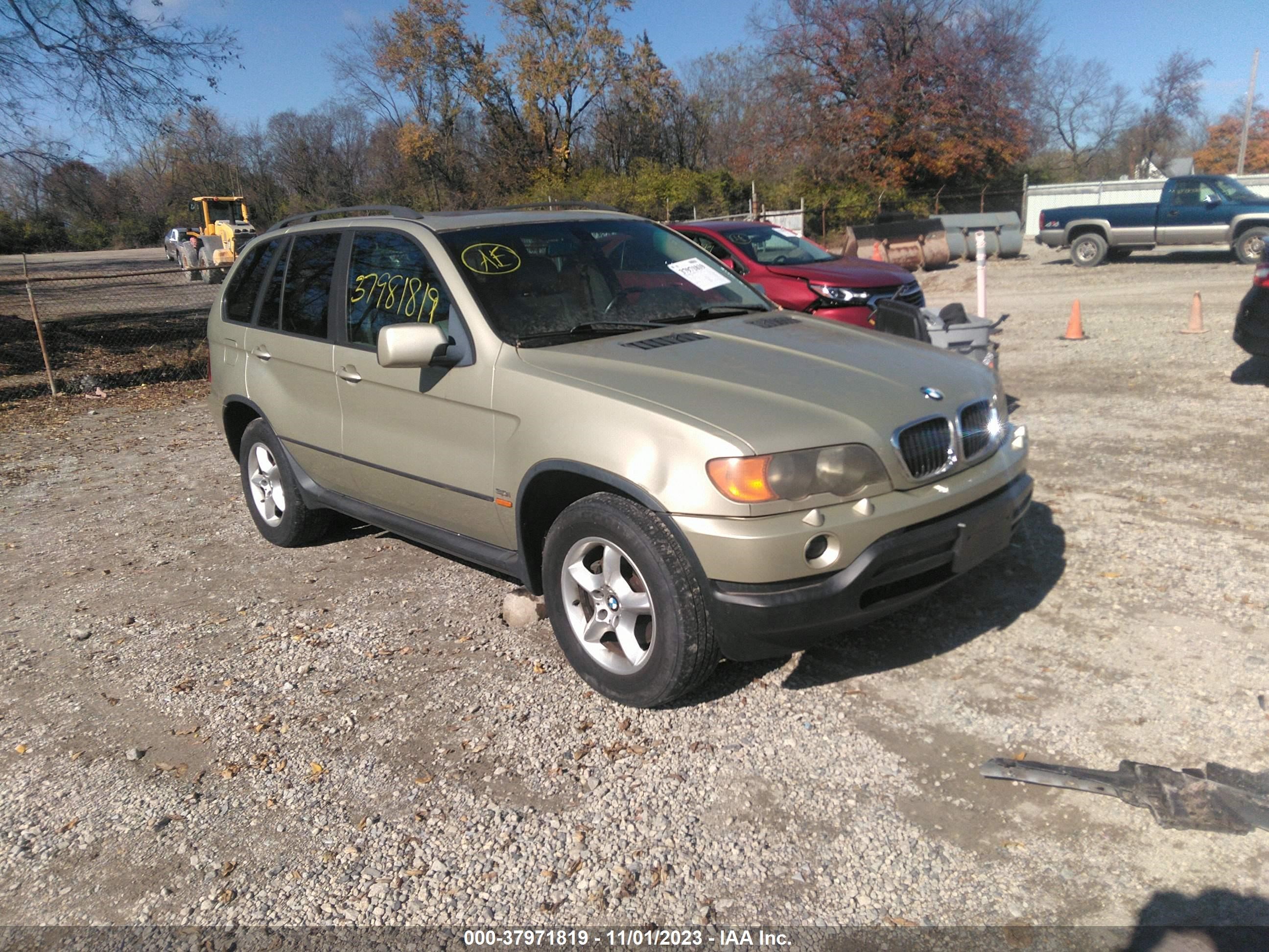 BMW X5 2003 5uxfa53513lv93574