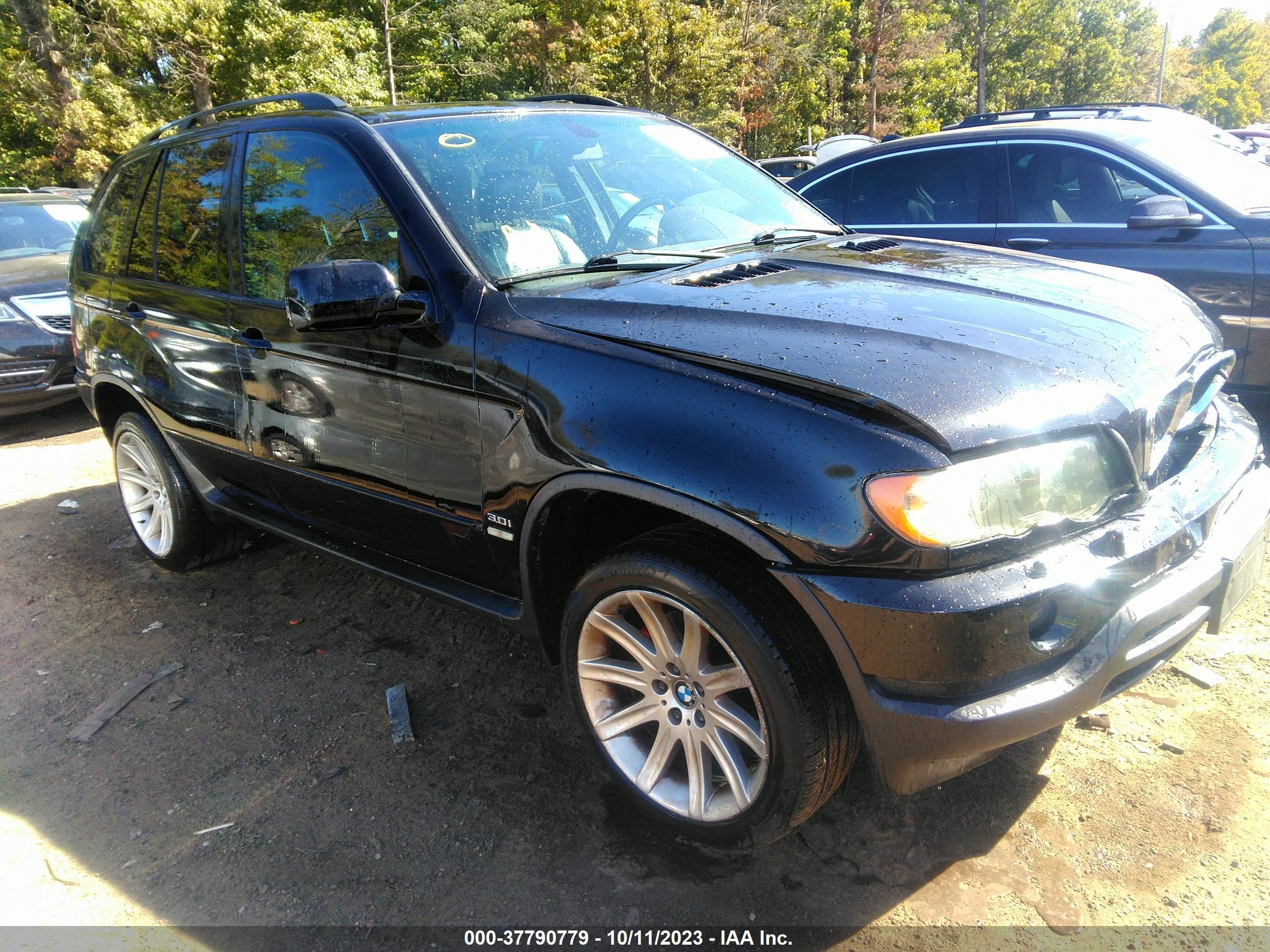 BMW X5 2003 5uxfa53533lv76663