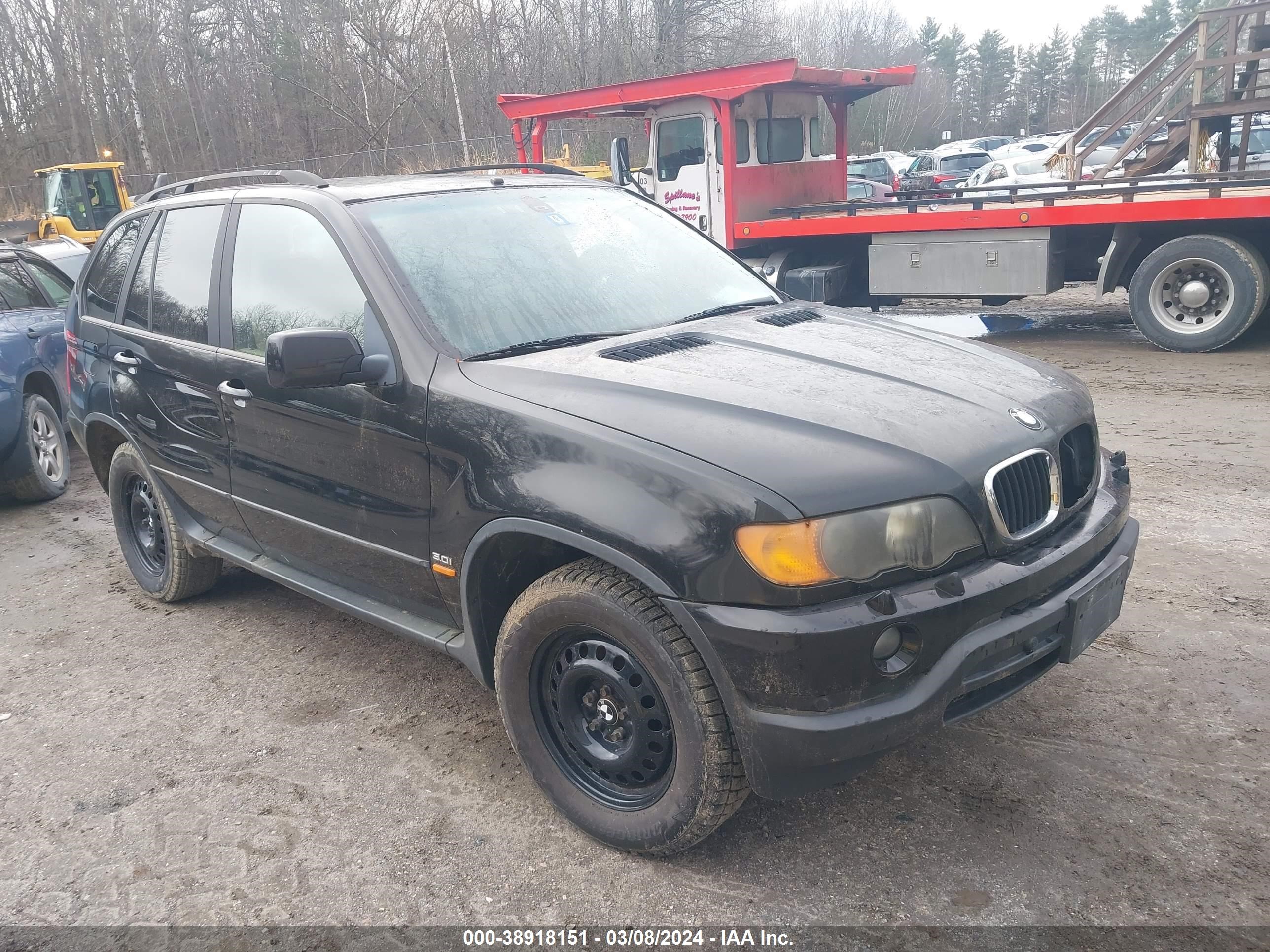 BMW X5 2003 5uxfa53533lw24601