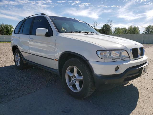 BMW X5 3.0I 2002 5uxfa53542lp53462