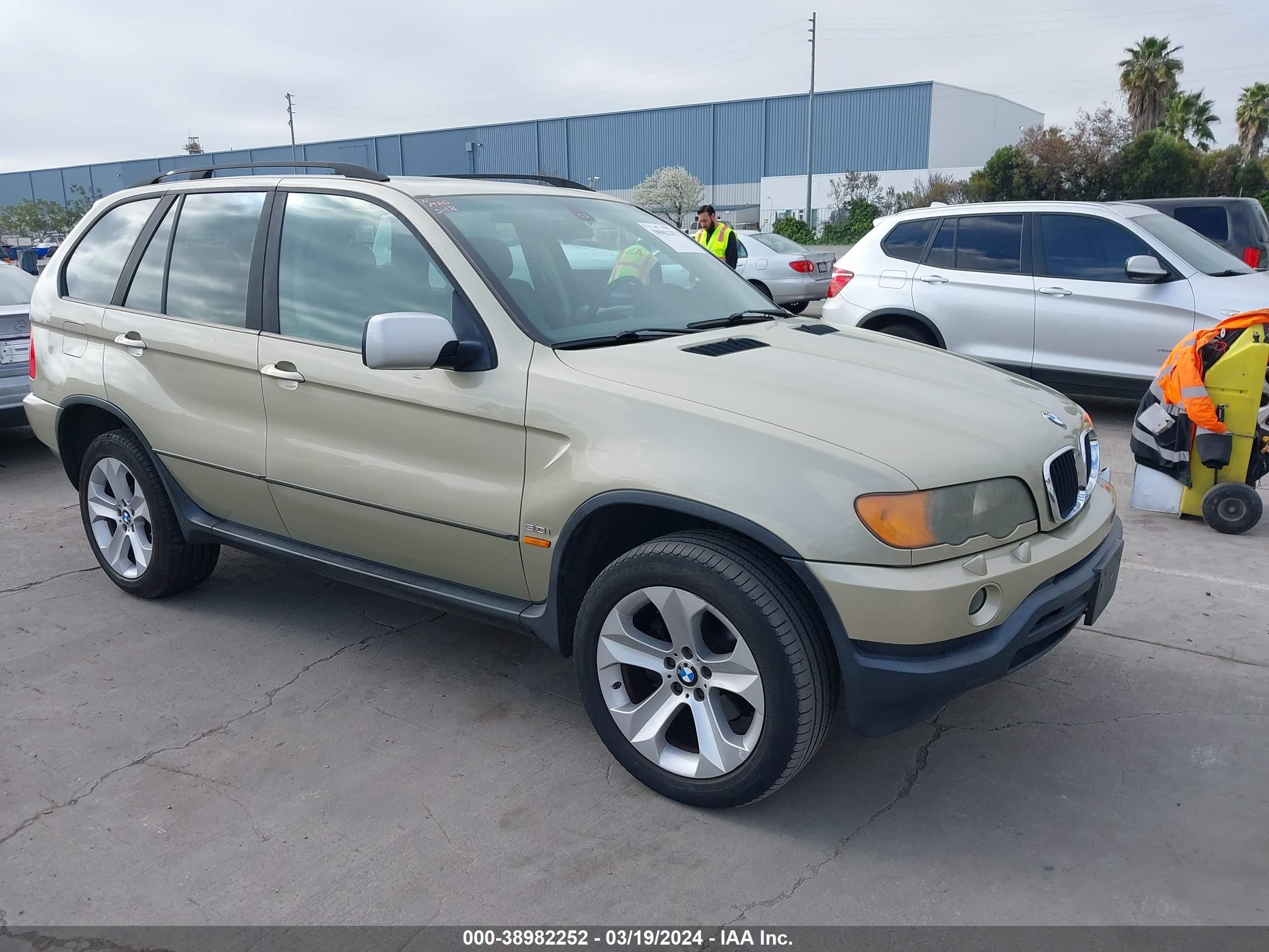 BMW X5 2003 5uxfa53553lv93495