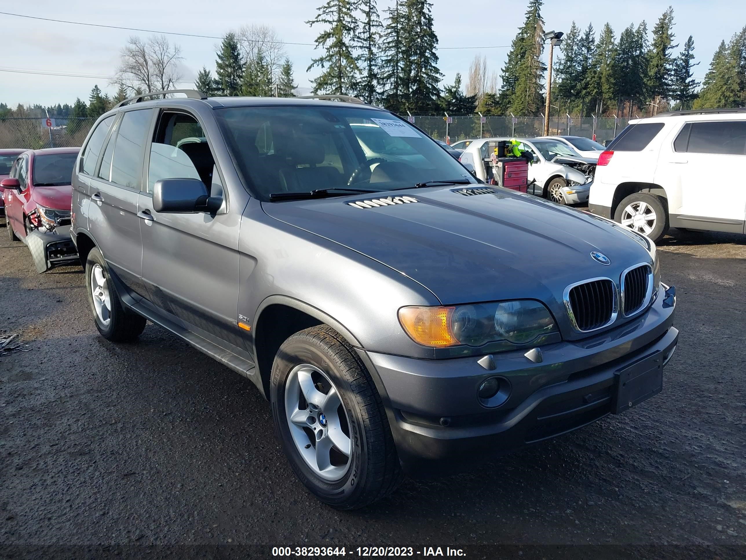 BMW X5 2003 5uxfa53583lv98237