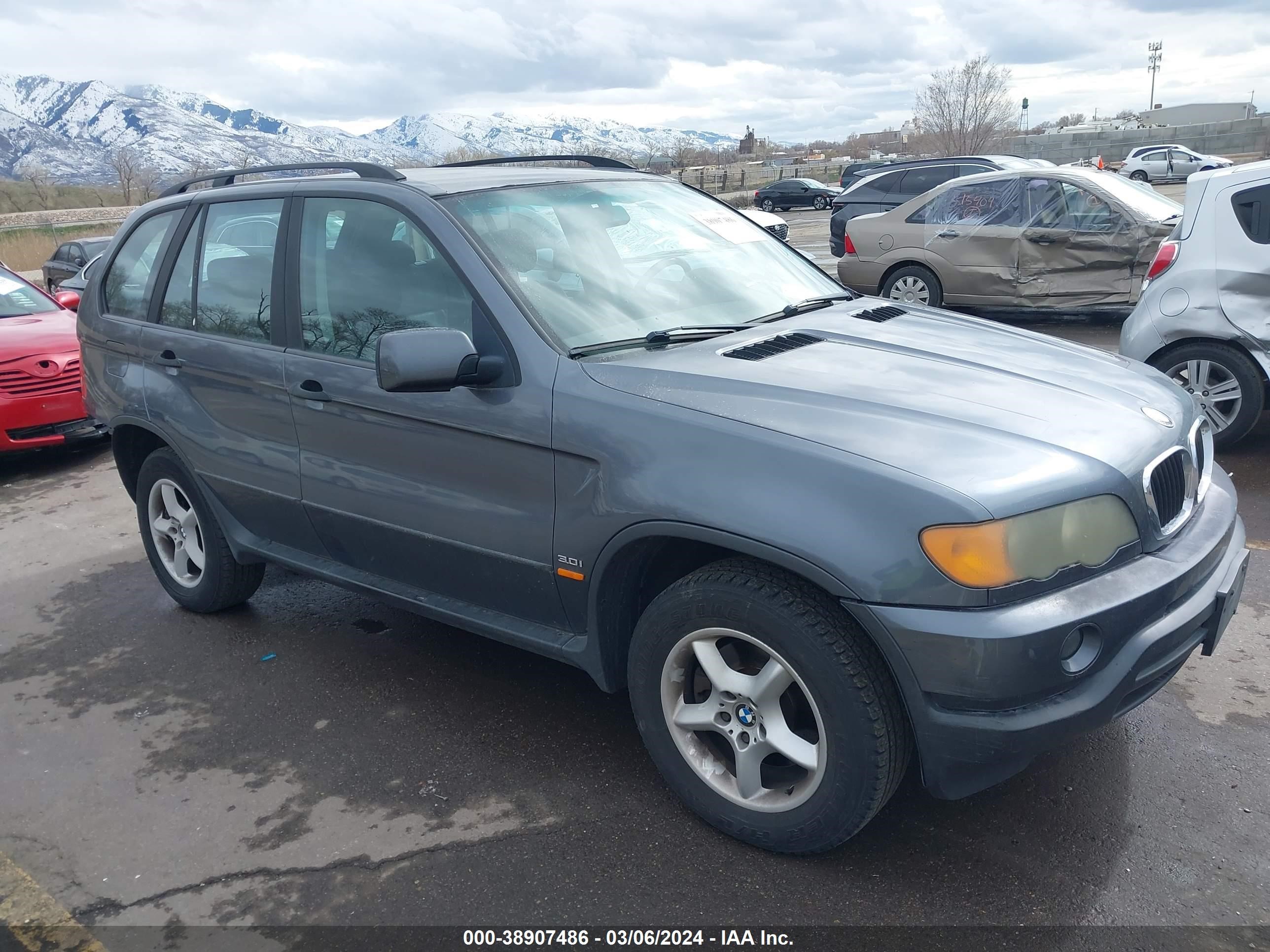 BMW X5 2003 5uxfa53583lv98769