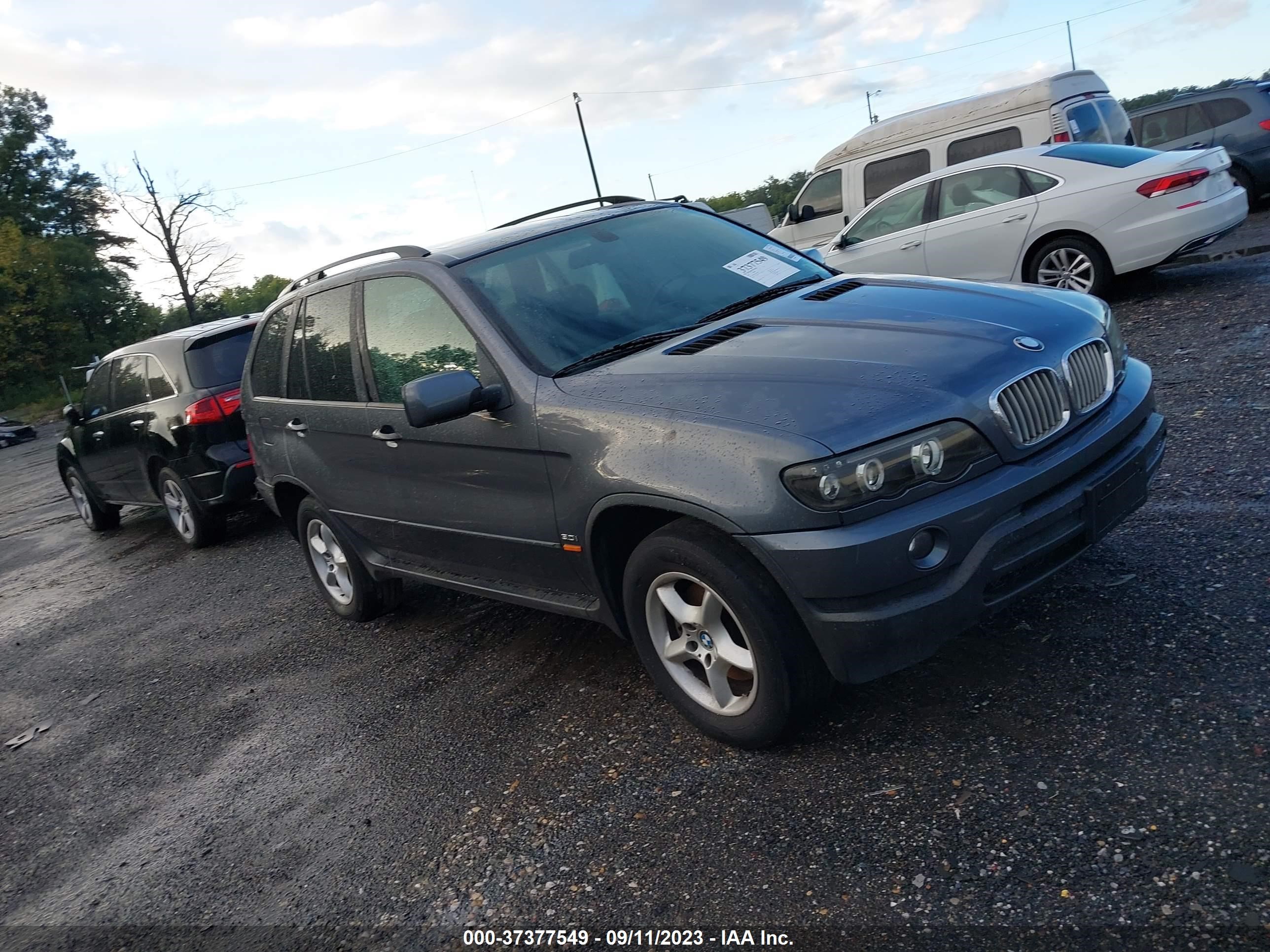 BMW X5 2003 5uxfa53593lv80376