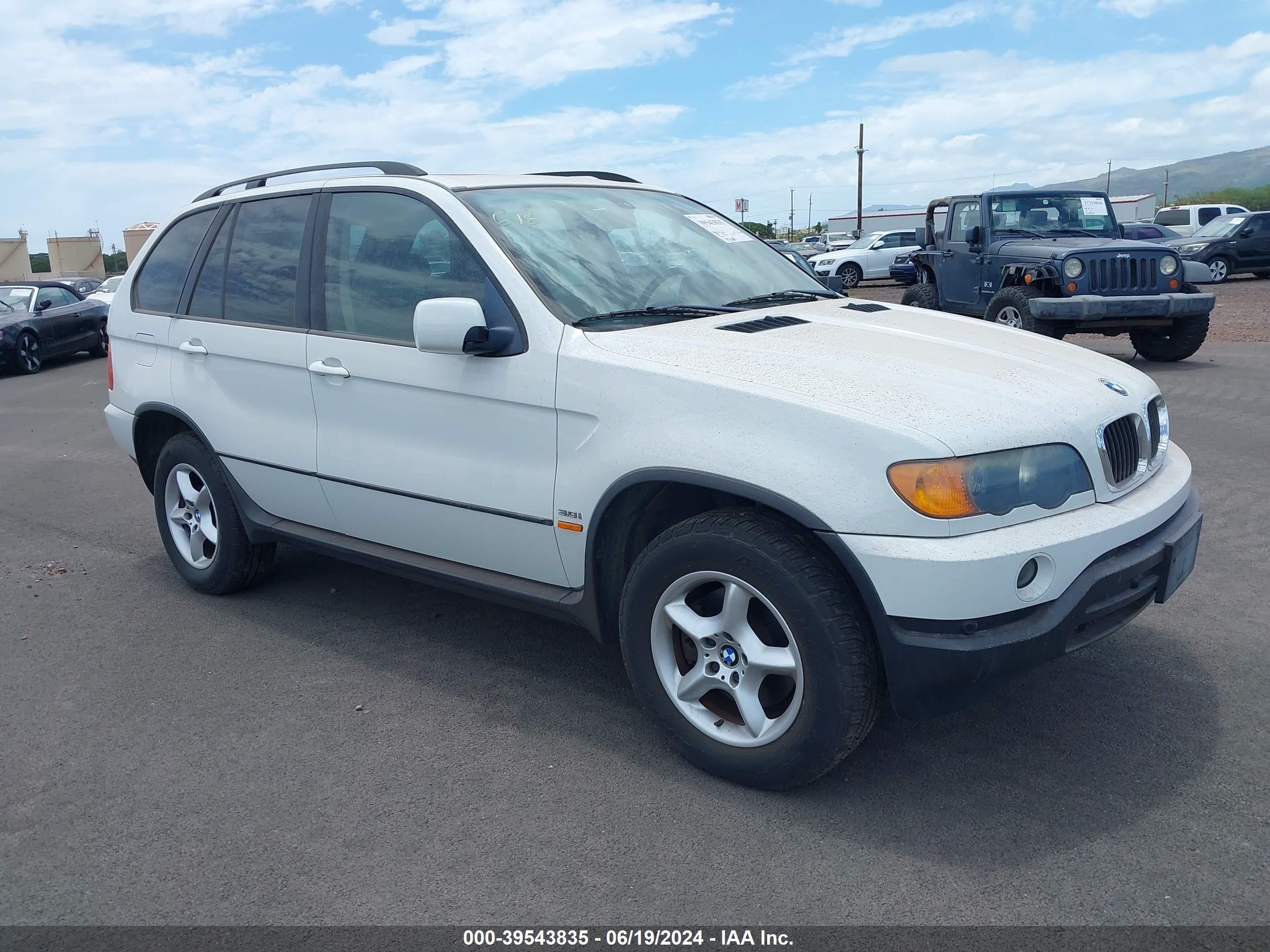 BMW X5 2003 5uxfa53593lv89272