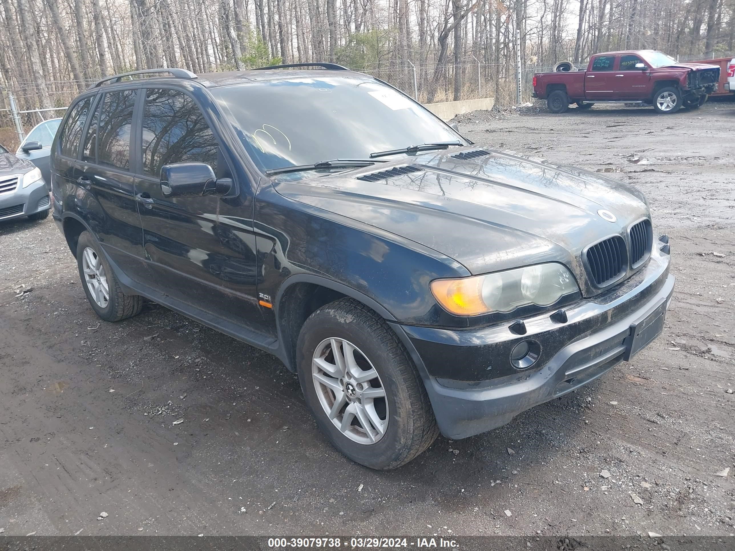 BMW X5 2003 5uxfa53593lv93631