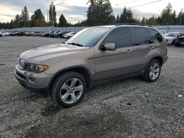 BMW X5 4.4I 2006 5uxfb53516lv27950