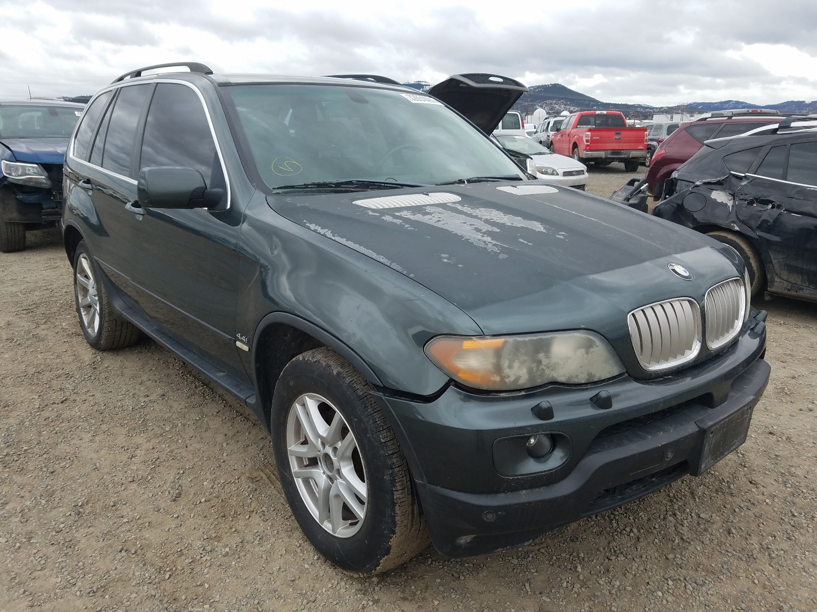 BMW X5 4.4I 2005 5uxfb53555lv15007