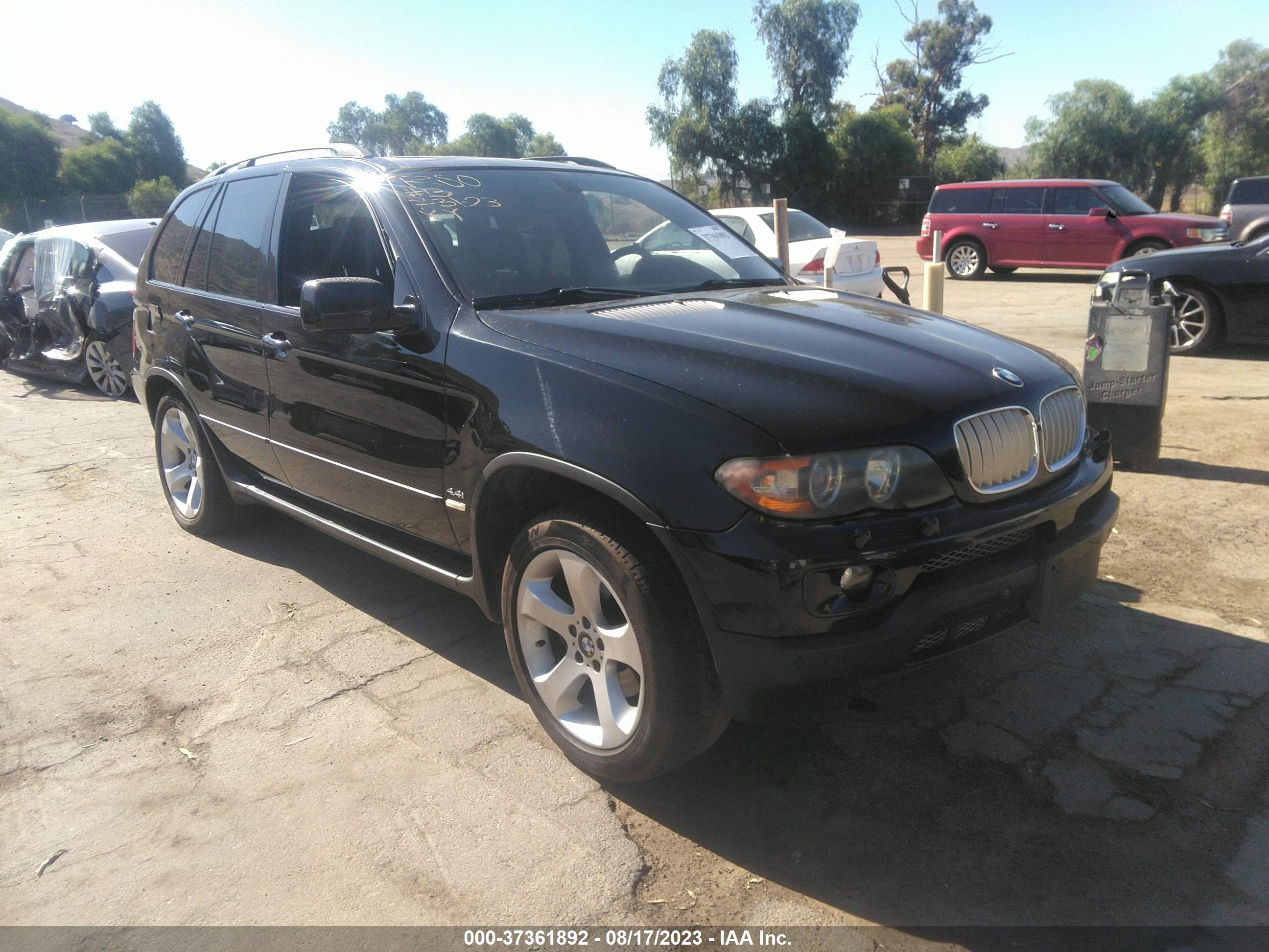 BMW X5 2004 5uxfb53574lv08557