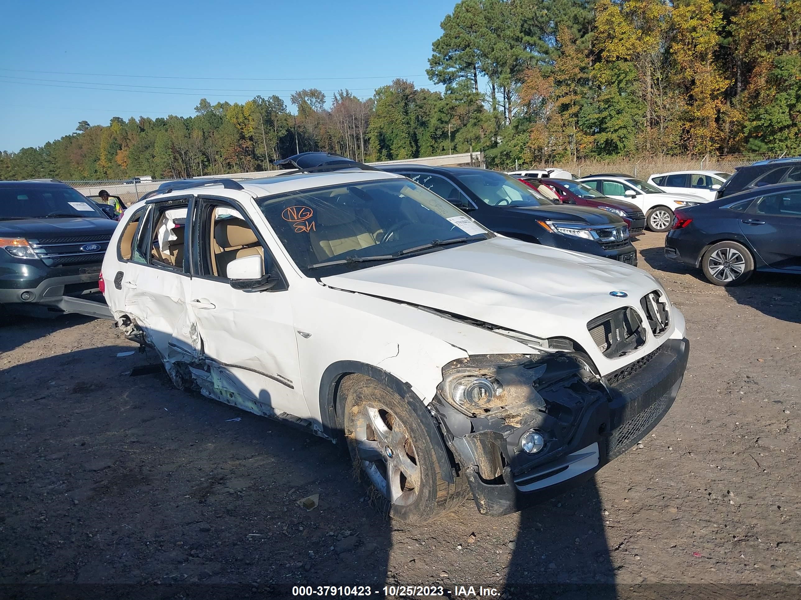 BMW X5 2009 5uxfe43519l265305