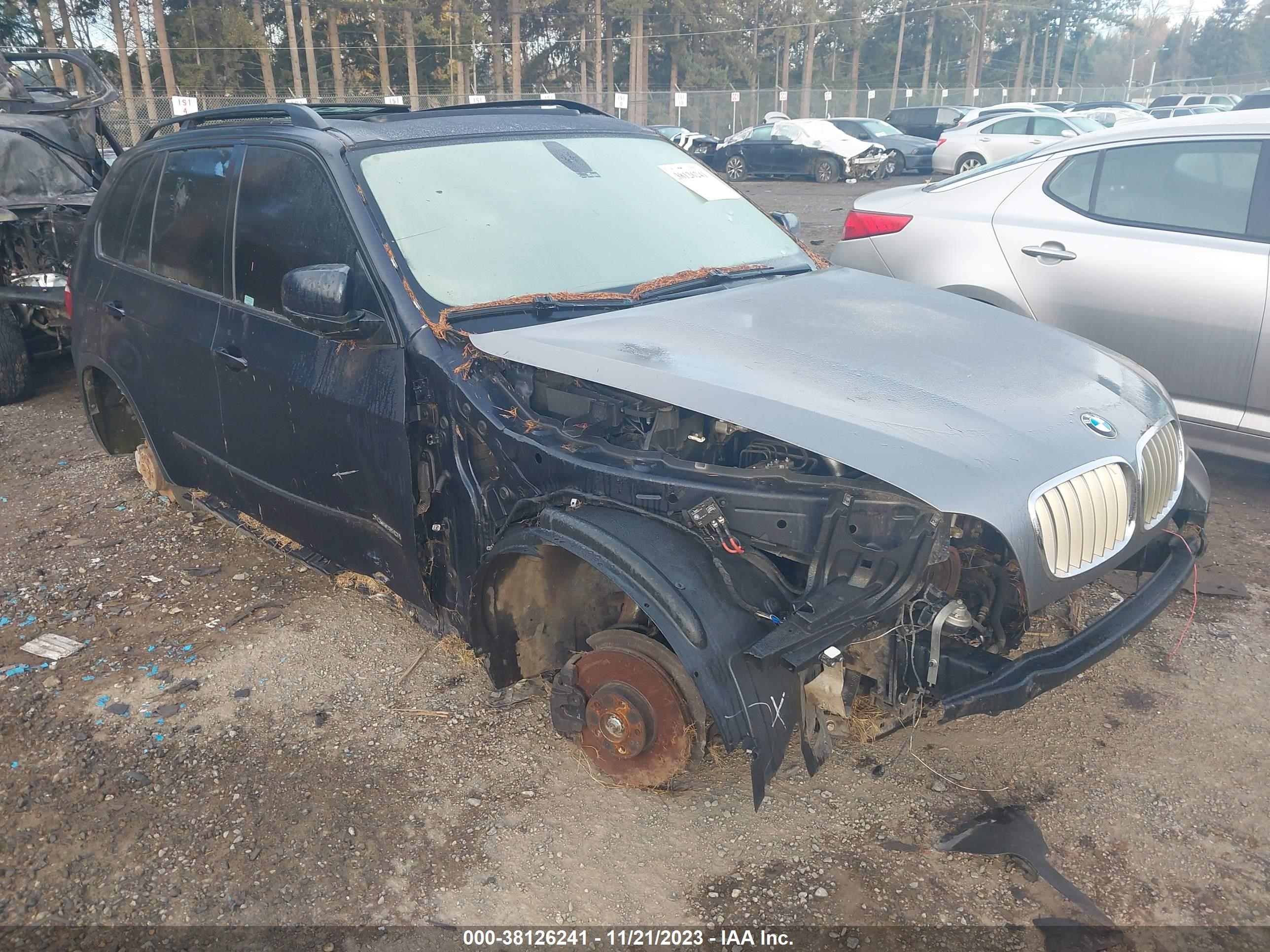 BMW X5 2009 5uxfe43529l271632