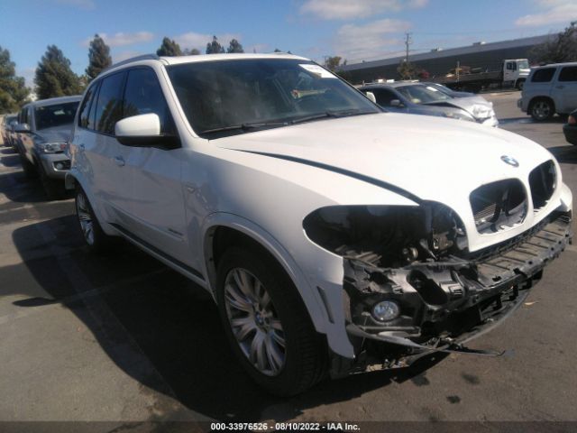 BMW X5 2010 5uxfe4c50al384595