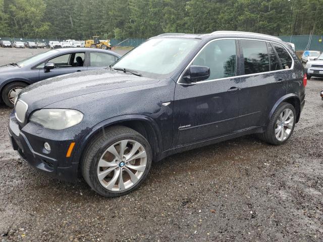 BMW X5 2010 5uxfe8c57al310632