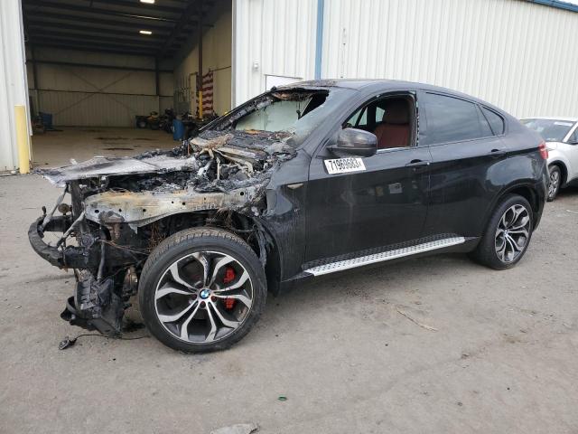 BMW X6 2013 5uxfg8c5xdl591341