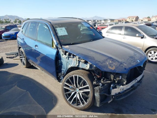 BMW X5 2019 5uxju2c51kln67099