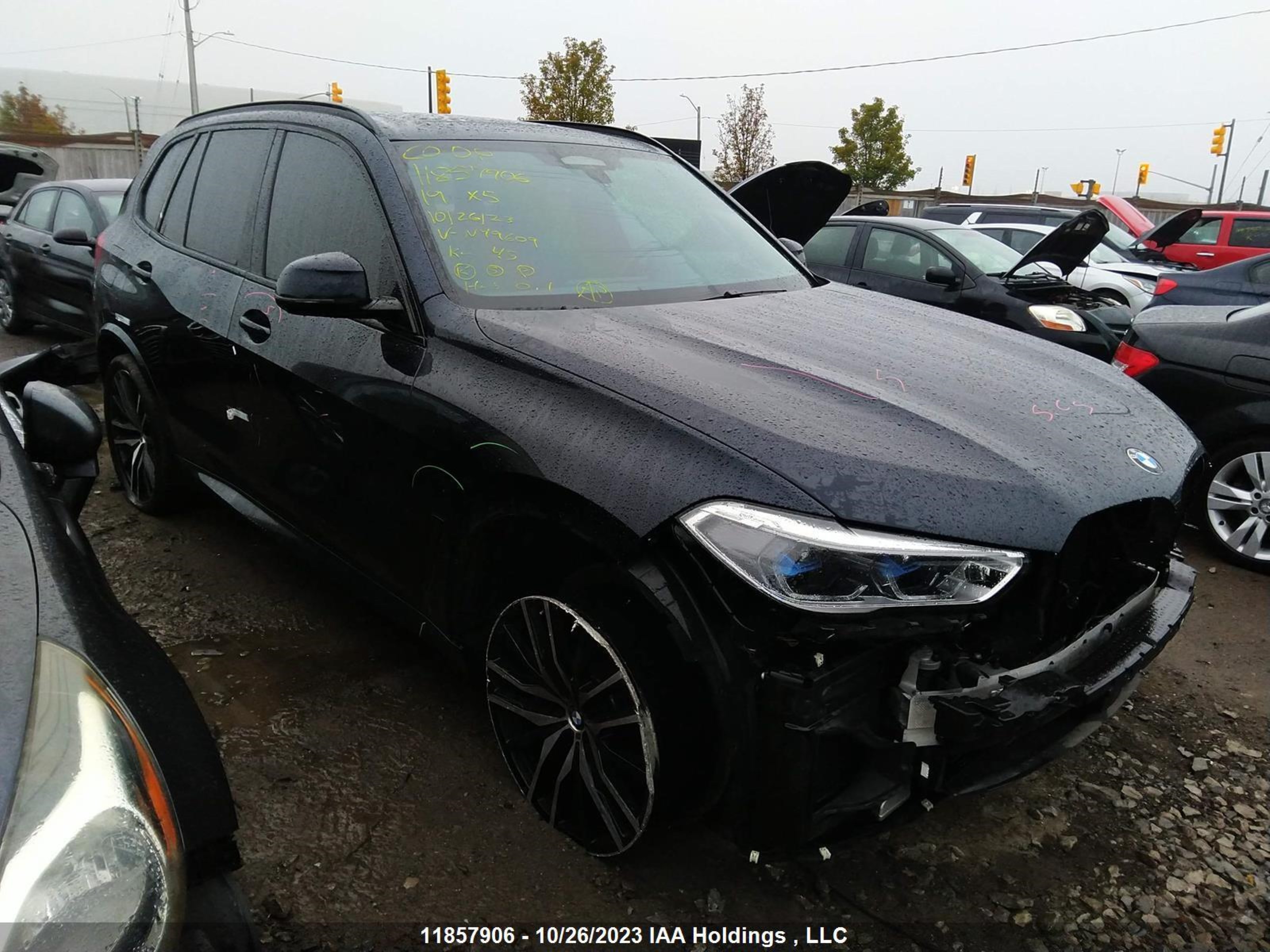 BMW X5 2019 5uxju2c57kln49609