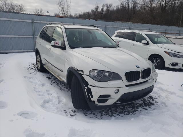 BMW X5 2011 5uxzv4c50cl766044