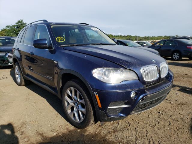 BMW X5 2013 5uxzv4c50d0b16636