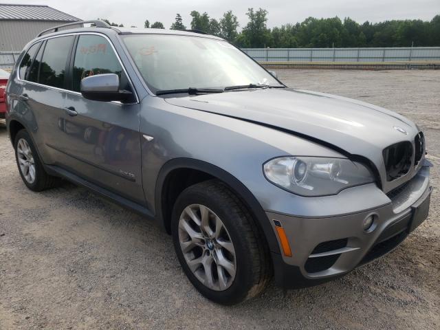 BMW X5 2013 5uxzv4c50d0b19343