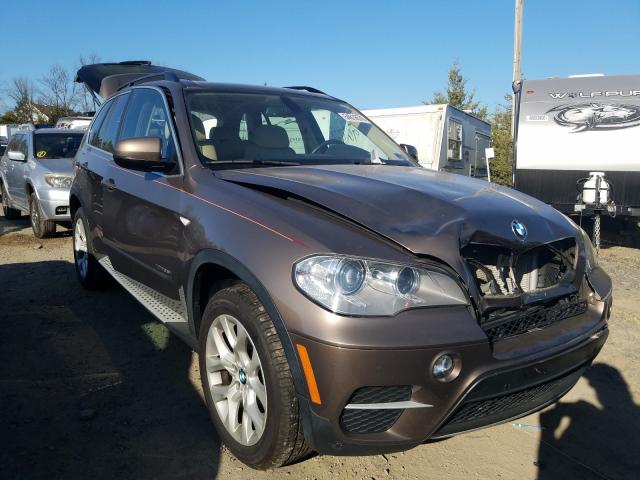 BMW X5 XDRIVE3 2013 5uxzv4c50d0b23067