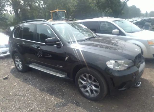 BMW X5 2013 5uxzv4c50d0e11204