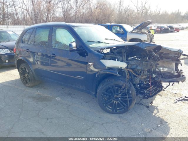 BMW X5 2013 5uxzv4c50d0g53250