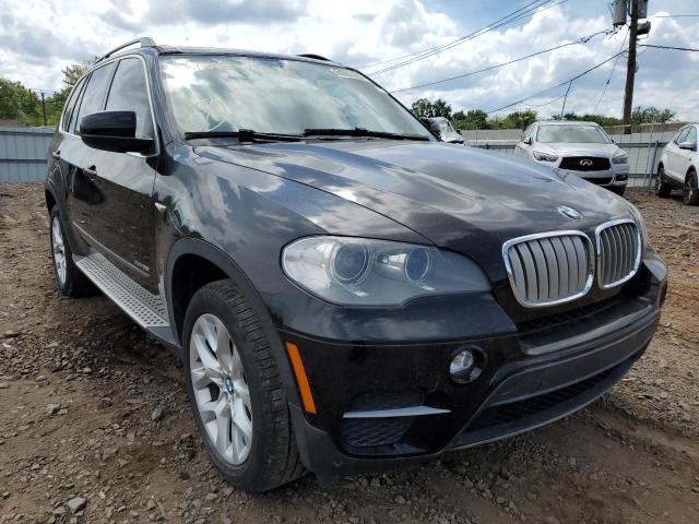 BMW X5 2013 5uxzv4c50d0g56827