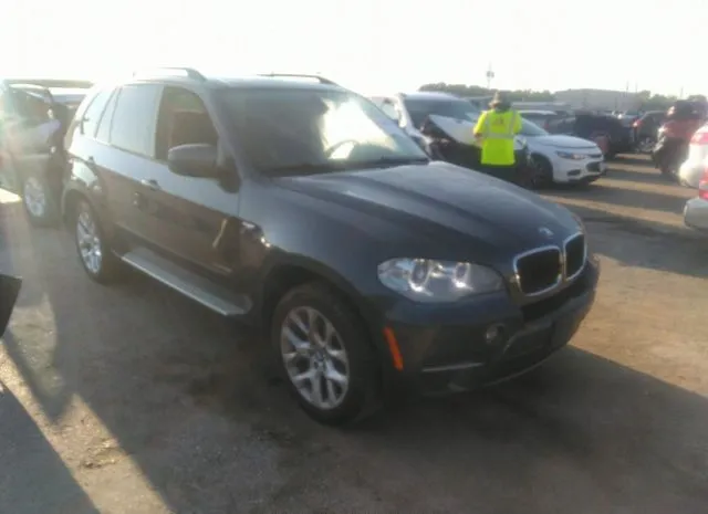 BMW X5 2013 5uxzv4c50dl994823