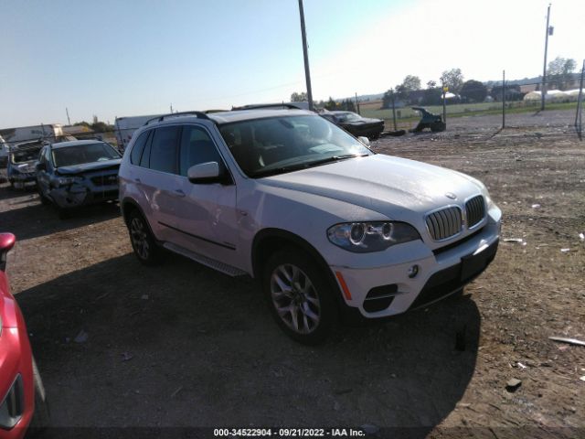 BMW X5 2013 5uxzv4c51d0e01989