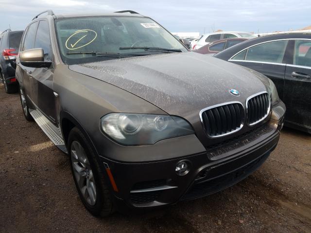 BMW X5 2010 5uxzv4c52bl409141