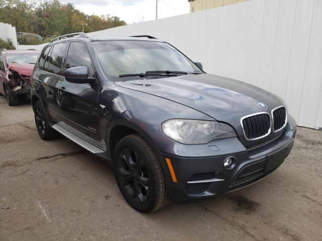 BMW X5 2010 5uxzv4c52bl411827