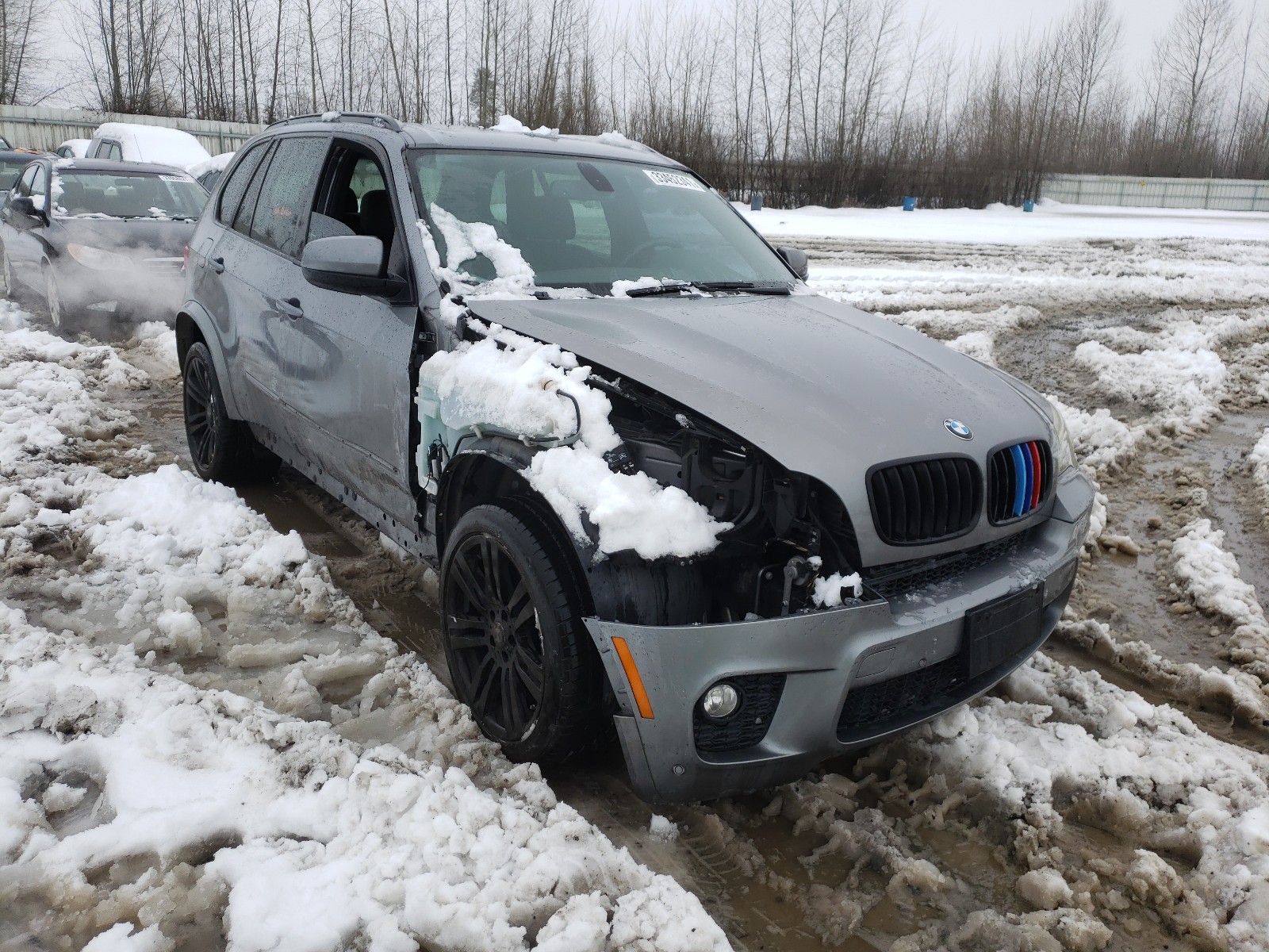 BMW X5 XDRIVE3 2011 5uxzv4c52bl415974