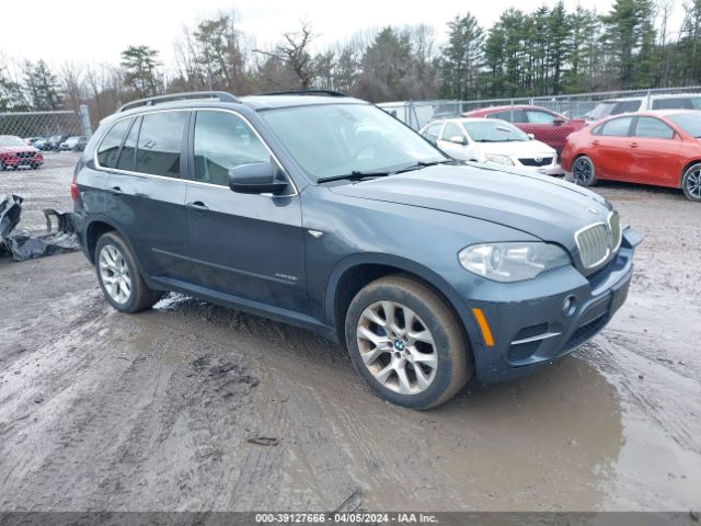 BMW X5 2013 5uxzv4c52d0b02866