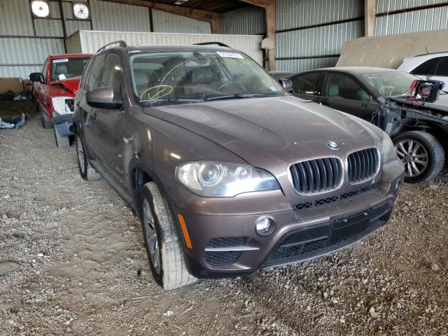 BMW NULL 2011 5uxzv4c53bl403283