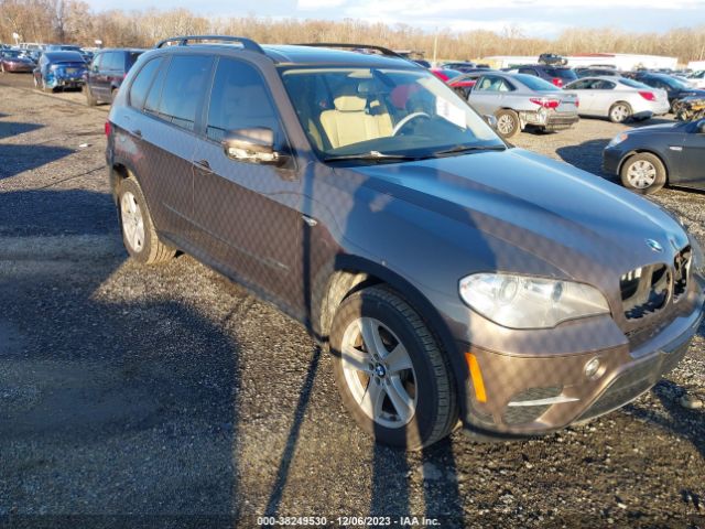 BMW X5 2013 5uxzv4c53d0e10869