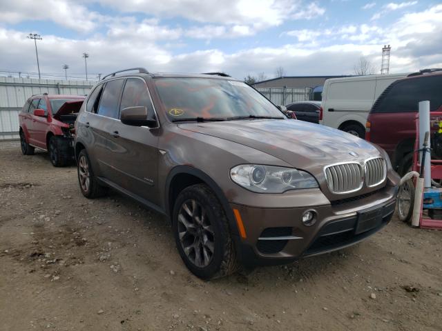 BMW NULL 2013 5uxzv4c53d0e11696