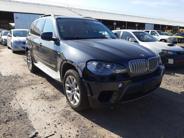 BMW NULL 2013 5uxzv4c53d0g52531