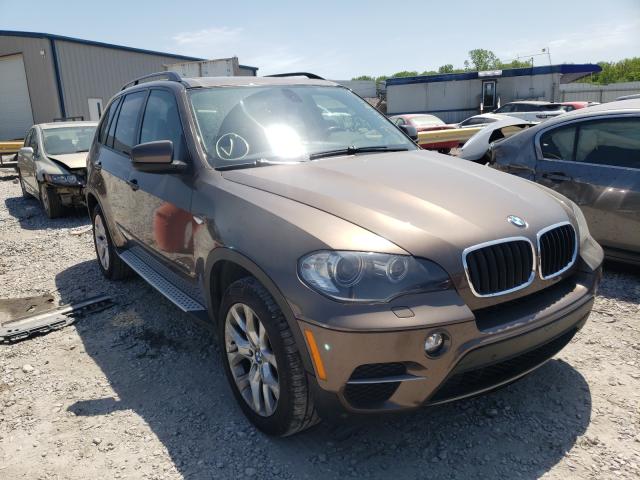 BMW X5 2010 5uxzv4c54bl410906