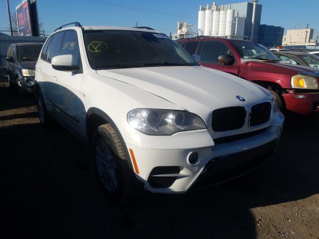 BMW X5 2013 5uxzv4c54d0b04554